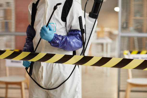 Professional Sewage Cleanup technician working in Rio Grande, OH
